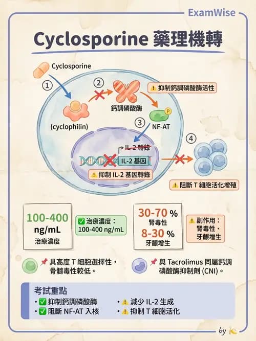 護理師 - 化學治療與免疫調節藥物 - AI 圖文解析預覽