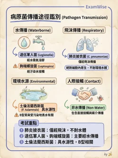 護理師 - 總論 - AI 圖文解析預覽
