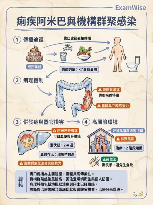 護理師 - 寄生蟲概論 - AI 圖文解析預覽