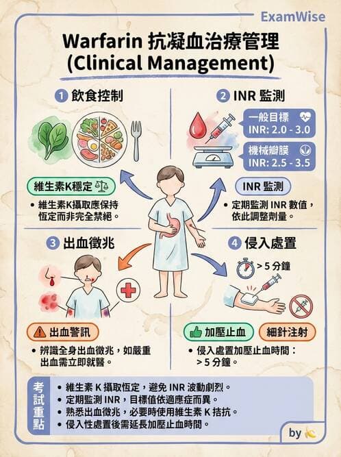 護理師 - 輸血與藥物計算 - AI 圖文解析預覽