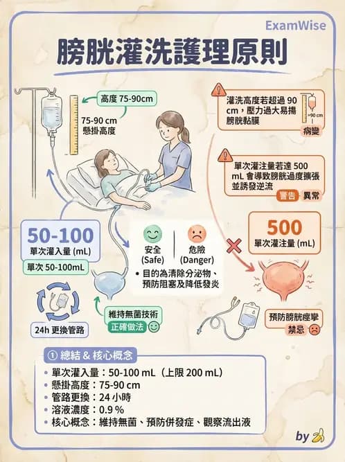 護理師 - 泌尿排泄與導尿護理 - AI 圖文解析預覽