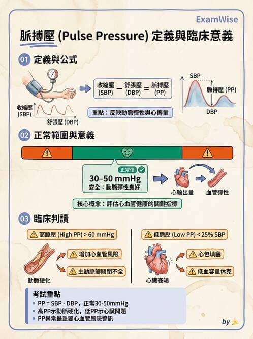 護理師 - 循環評估(脈搏與血壓) - AI 圖文解析預覽