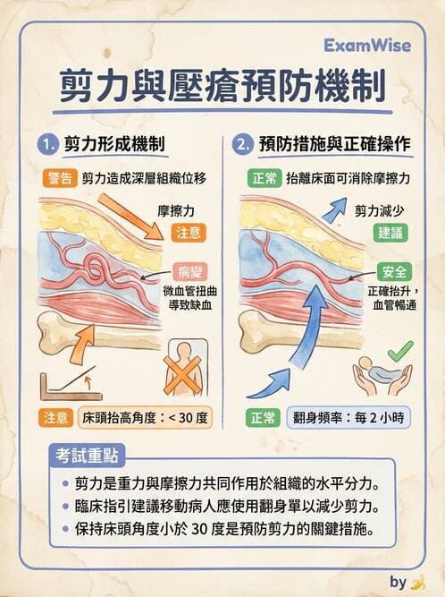 護理師 - 體位擺位與安全照護 - AI 圖文解析預覽