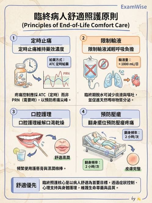 護理師 - 臨終與哀傷護理 - AI 圖文解析預覽
