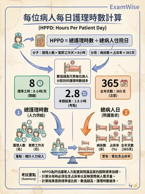 護理師 - 人力資源與排班管理 - AI 圖文解析預覽