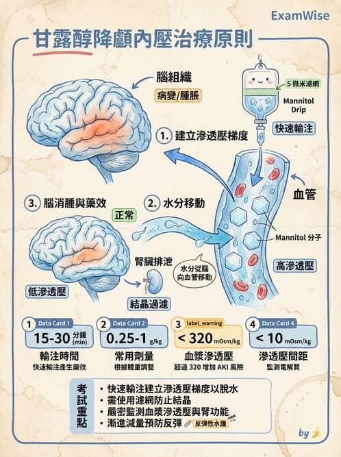護理師 - 顱內壓升高與頭部外傷 - AI 圖文解析預覽
