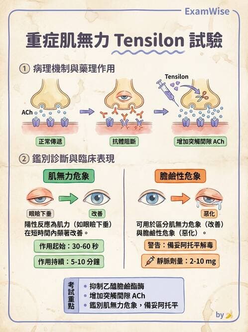 護理師 - 脊髓損傷與神經肌肉疾病 - AI 圖文解析預覽