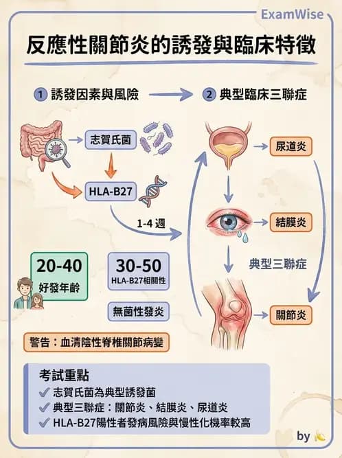 護理師 - 傳染病護理 - AI 圖文解析預覽