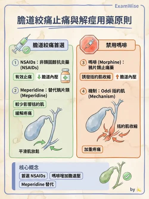 護理師 - 肝膽胰疾病 - AI 圖文解析預覽