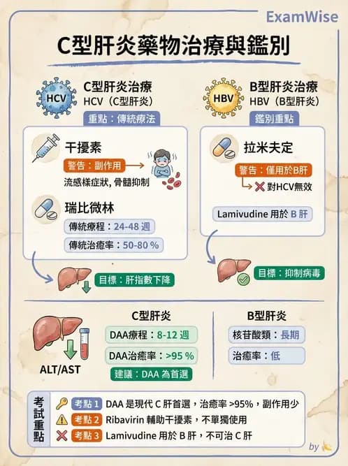 護理師 - 肝膽胰疾病 - AI 圖文解析預覽
