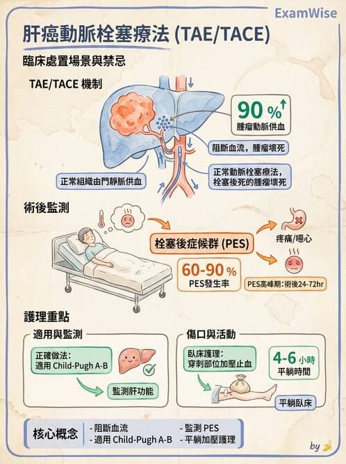 護理師 - 消化系統癌症護理 - AI 圖文解析預覽