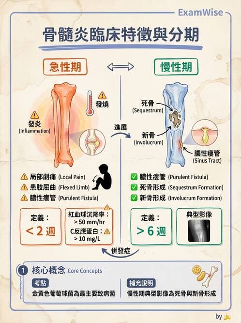 護理師 - 骨折與牽引護理 - AI 圖文解析預覽