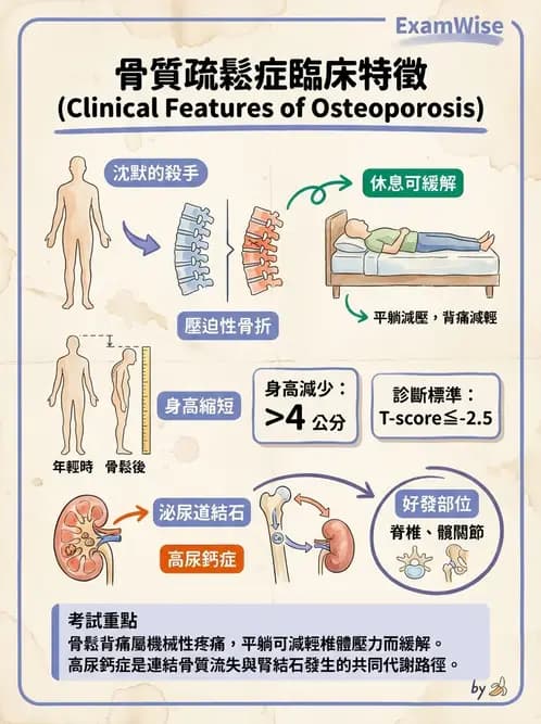 護理師 - 關節疾病與骨科手術 - AI 圖文解析預覽