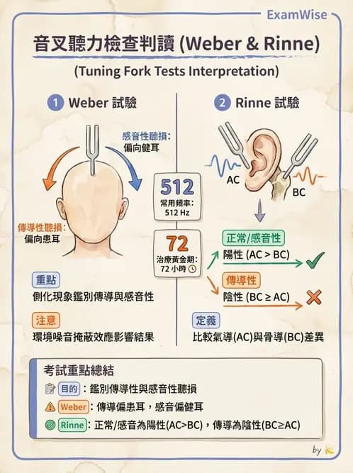 護理師 - 耳鼻喉疾病 - AI 圖文解析預覽