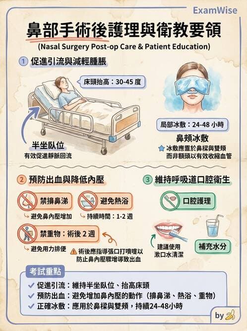 護理師 - 耳鼻喉疾病 - AI 圖文解析預覽