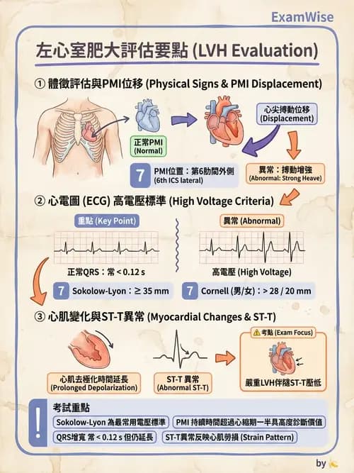護理師 - 心臟衰竭與心律不整 - AI 圖文解析預覽
