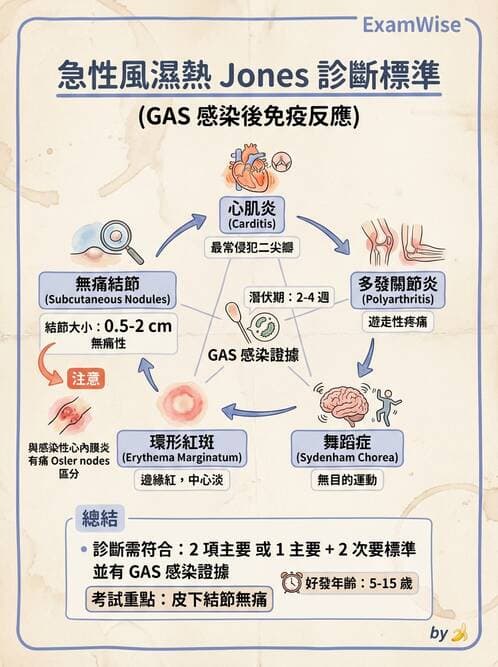 護理師 - 心臟瓣膜病與發炎性心臟病 - AI 圖文解析預覽