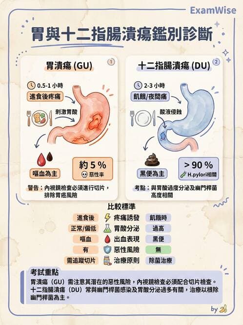 護理師 - 上消化道疾病 - AI 圖文解析預覽
