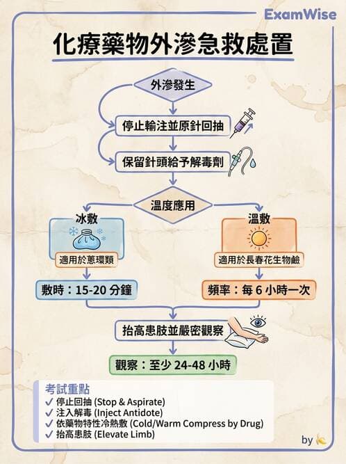 護理師 - 化療護理 - AI 圖文解析預覽