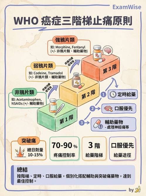 護理師 - 放療、疼痛管理與安寧護理 - AI 圖文解析預覽
