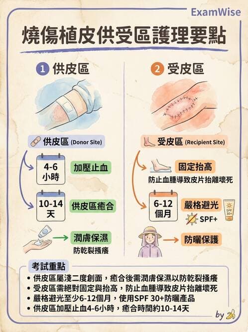 護理師 - 燒傷護理 - AI 圖文解析預覽