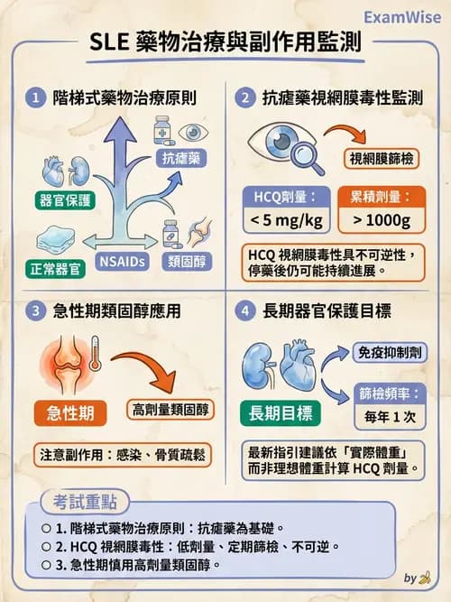 護理師 - 自體免疫疾病與過敏反應 - AI 圖文解析預覽