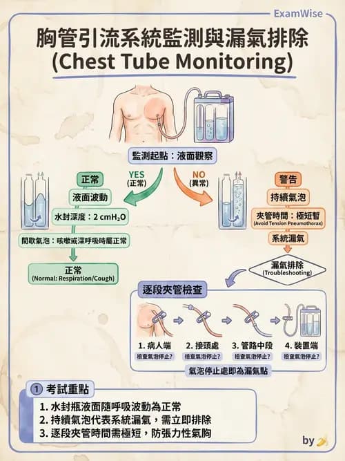 護理師 - 呼吸衰竭與胸腔護理 - AI 圖文解析預覽