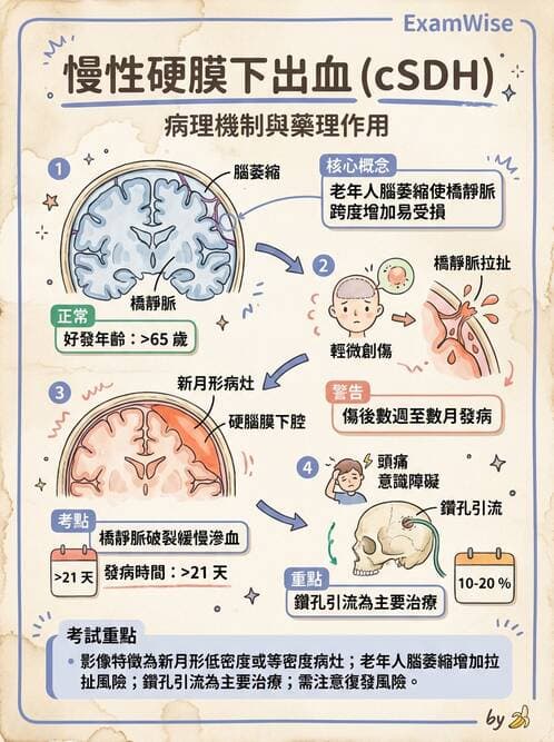護理師 - 顱內壓升高與頭部外傷 - AI 圖文解析預覽