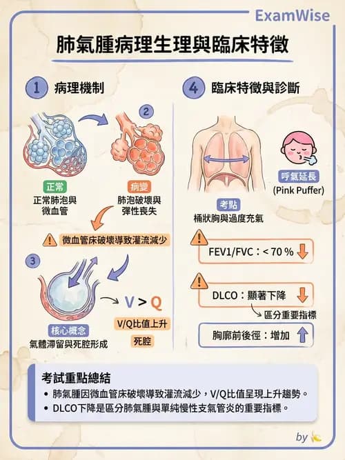 護理師 - COPD與氣喘 - AI 圖文解析預覽
