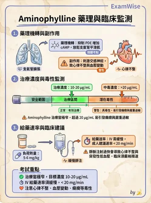 護理師 - COPD與氣喘 - AI 圖文解析預覽