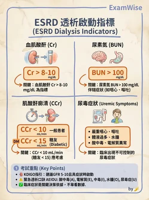 護理師 - 透析、電解質與酸鹼平衡 - AI 圖文解析預覽