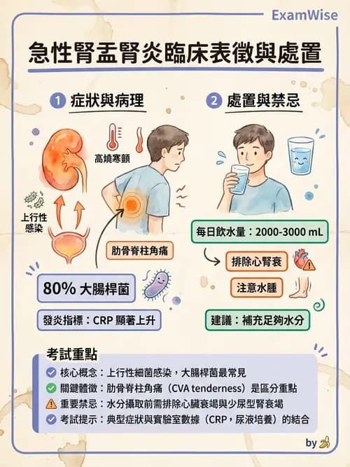 護理師 - 泌尿道疾病與排尿障礙 - AI 圖文解析預覽