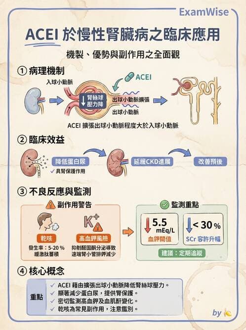 護理師 - 腎炎、腎衰竭與慢性腎臟病 - AI 圖文解析預覽