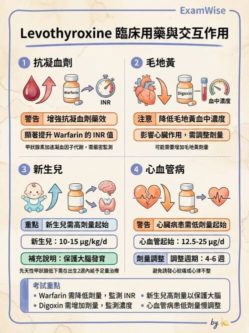 護理師 - 甲狀腺與副甲狀腺疾病 - AI 圖文解析預覽