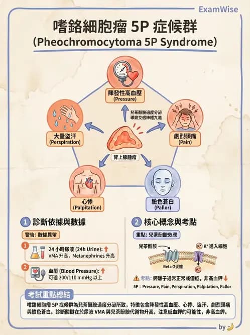 護理師 - 腎上腺與腦下垂體疾病 - AI 圖文解析預覽