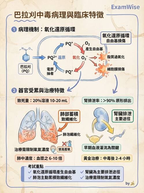 護理師 - 中毒與外傷護理 - AI 圖文解析預覽