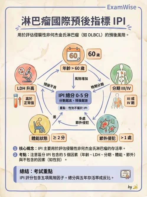 護理師 - 血液腫瘤疾病 - AI 圖文解析預覽