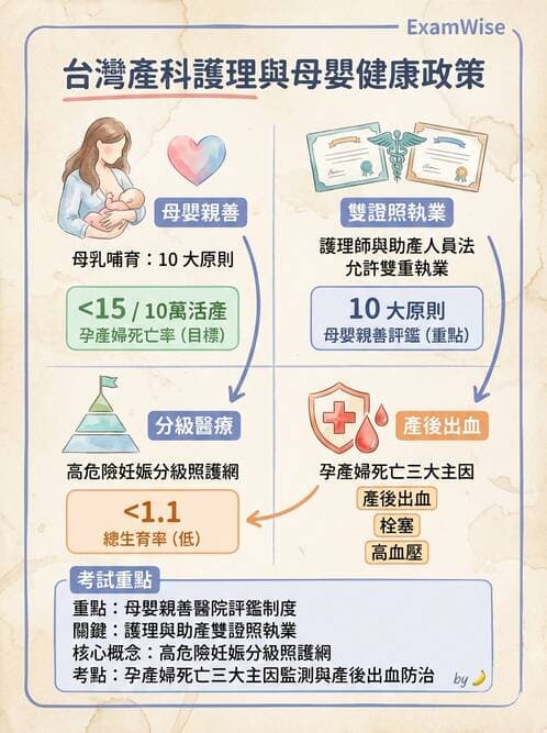 護理師 - 孕期營養心理與衛生政策 - AI 圖文解析預覽