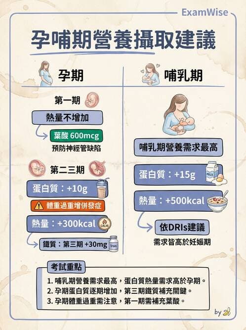 護理師 - 孕期營養心理與衛生政策 - AI 圖文解析預覽