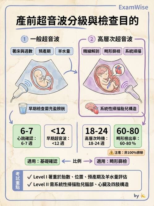 護理師 - 胎兒發育與監測評估 - AI 圖文解析預覽
