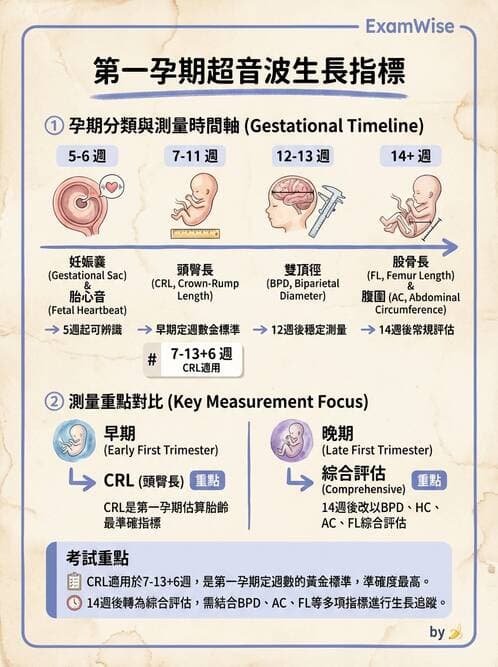 護理師 - 胎兒發育與監測評估 - AI 圖文解析預覽