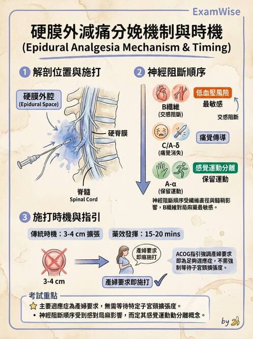 護理師 - 生產疼痛與麻醉技術 - AI 圖文解析預覽