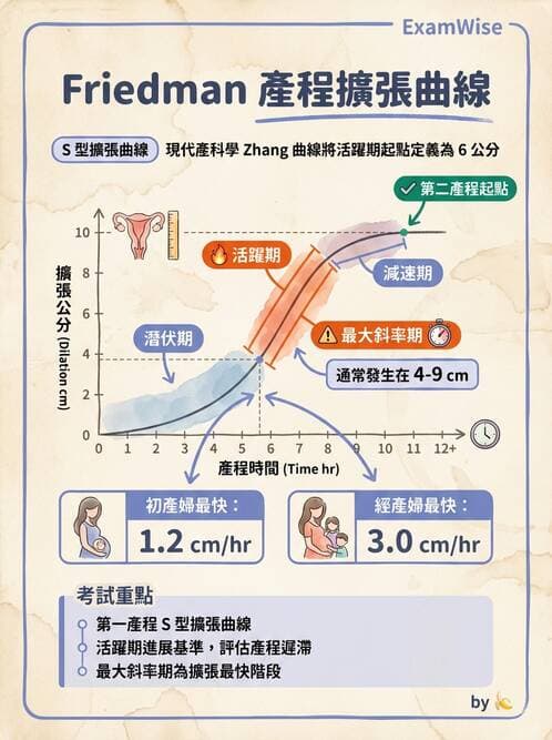 護理師 - 產程機轉與待產護理 - AI 圖文解析預覽