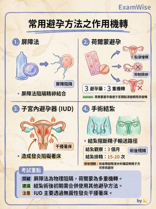 護理師 - 不孕症月經與更年期 - AI 圖文解析預覽