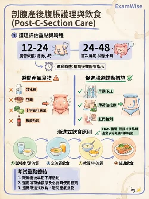 護理師 - 產後生理恢復與護理 - AI 圖文解析預覽