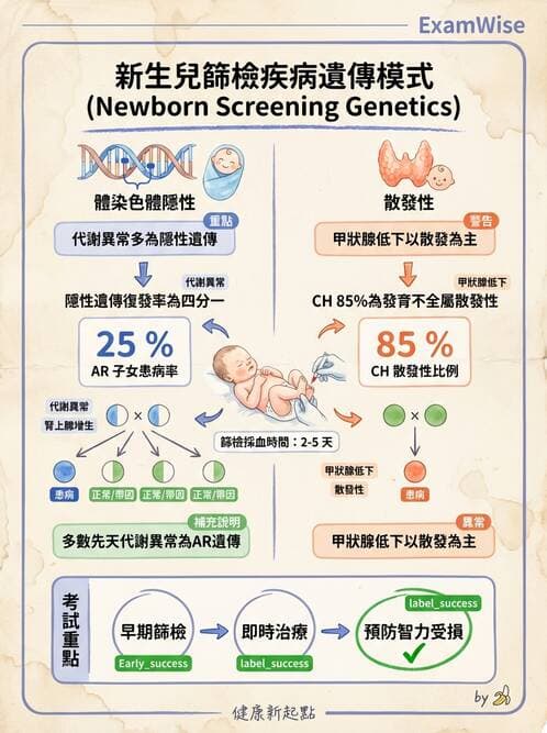 護理師 - 新生兒日常照護與篩檢 - AI 圖文解析預覽