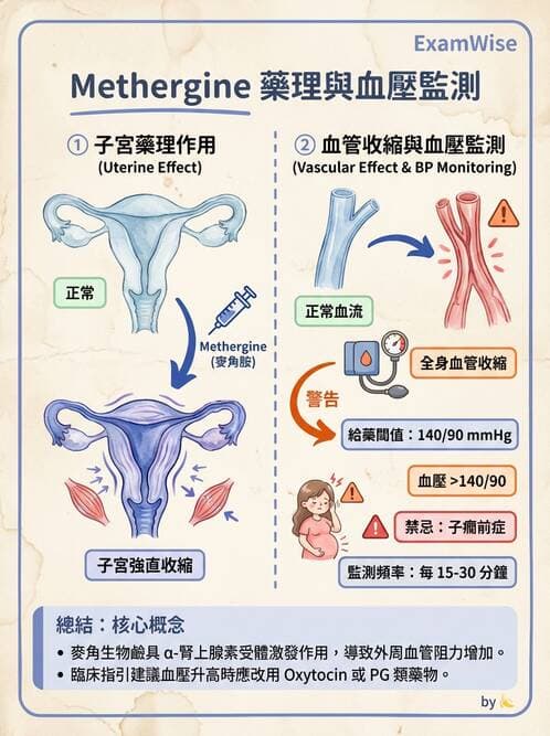 護理師 - 產後生理恢復與護理 - AI 圖文解析預覽