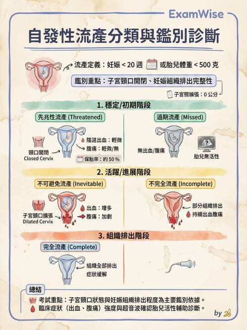 護理師 - 孕期生理變化與不適護理 - AI 圖文解析預覽