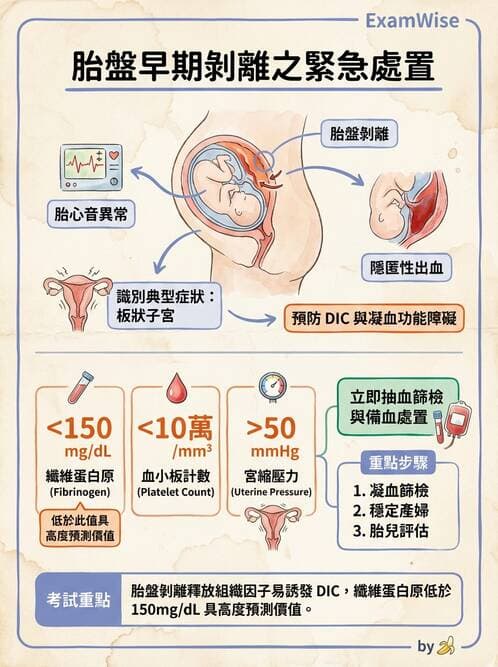 護理師 - 高危險妊娠 - AI 圖文解析預覽