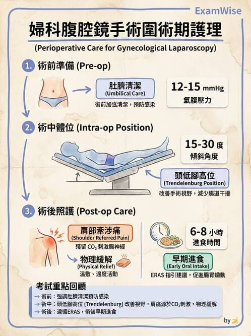 護理師 - 不孕症月經與更年期 - AI 圖文解析預覽